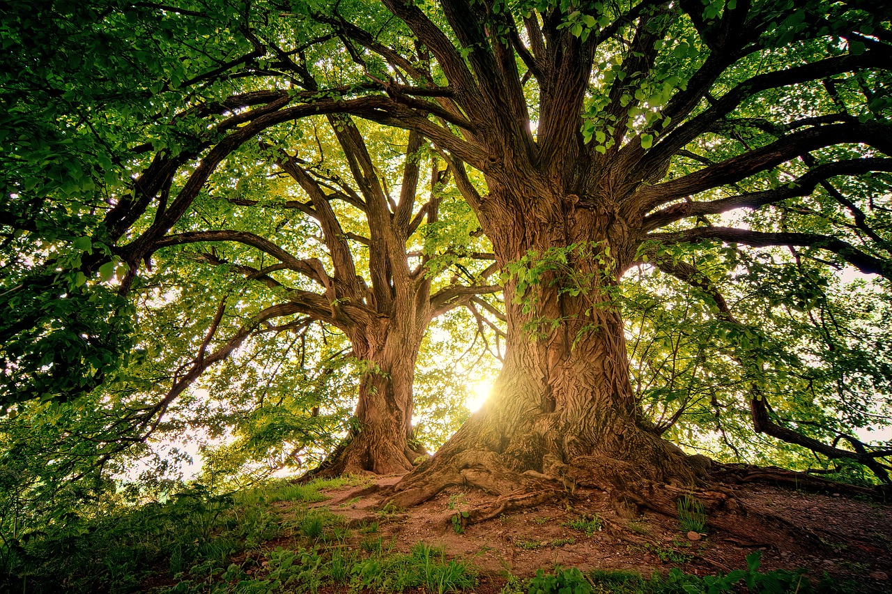 The Meaningful Life Foundation - what's in a name?